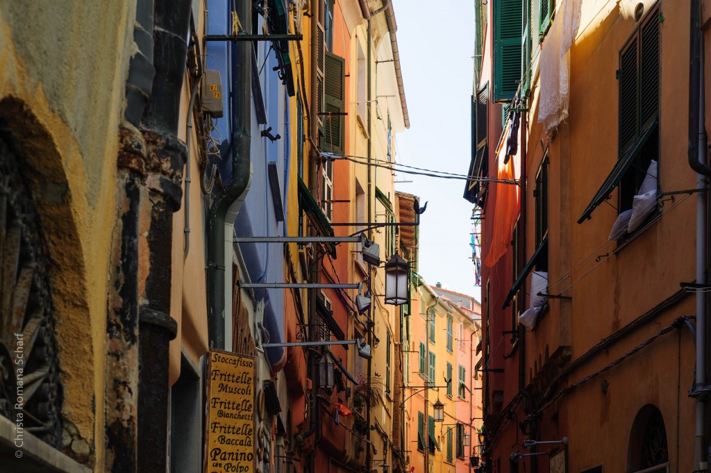 CinqueTerre-700429