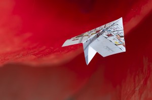 Fliegerimmohn